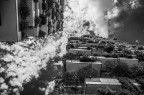 Bosco Verticale Bosco Verticale
