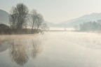 Foggy morning