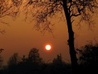 tramonto nel parco