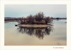 L'isola che non c'...