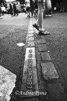 the wall the wall