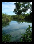 Un'altra immagine del cenote Un'altra immagine del cenote