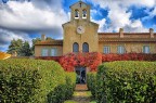 Bolgheri Bolgheri