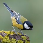 ..in diagonale.. ..in diagonale..