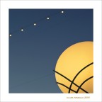 Una Luna al... guinzaglio! Una Luna al... guinzaglio!