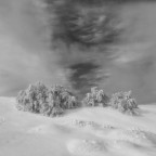 Appennino reggiano, gennaio 2018 Appennino reggiano, gennaio 2018