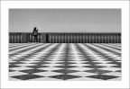 La fotografa La fotografa