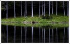 la gabbia dell'anima la gabbia dell'anima