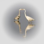 Incontro ravvicinato Incontro ravvicinato