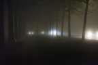 A foggy night