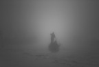 Il gondoliere e la nebbia Il gondoliere e la nebbia