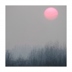 delicatamente sera delicatamente sera