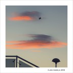 Ogni sera ha le sue ali... Ogni sera ha le sue ali...