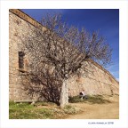 A little love... in Barcellona A little love... in Barcellona