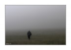...nella nebbia..