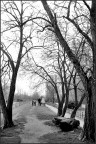 Monfalcone mare Monfalcone mare