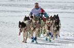 Campionato Europeo Sleddog Millegrobbe TN Campionato Europeo Sleddog Millegrobbe TN