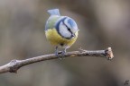 ..mio tesssoro!!!..