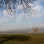 crescerai ... crescerai ...