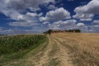 In giro per il lago Trasimeno.
ogni critica,commento,suggerimento sono ben accetti.
Daluti