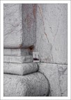Un curioso ritrovamento sul basamento di una colonna delle Logge dei Banchi, Pisa.