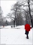 Punti di rosso