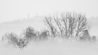 nebbia bassa