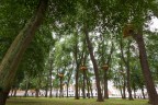 Beguinage