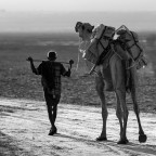 Verso casa