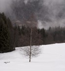 Solitario
