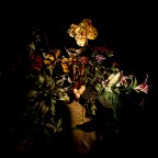 colpi di luce colpi di luce