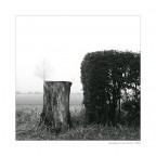 Scorcio urbano Scorcio urbano