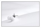 snowgraph snowgraph