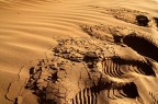 Sand Sand