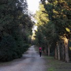 Nel bosco, sulle spalle... Nel bosco, sulle spalle...