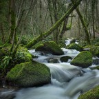 il torrente il torrente