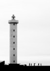 faro faro