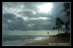 landscapes landscapes