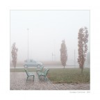 Una Panda nella nebbia Una Panda nella nebbia