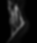 Bodyscape