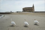 Caorle 03 Caorle 03