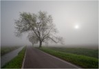 atmosfere padane...