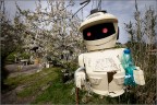 primavera