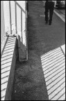 Macerata - Aprile 2018

Ilford HP5 (exp. 2005)
Pentax K1000 + 50mm