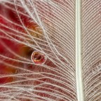 lacrima di un angelo.. lacrima di un angelo..