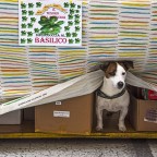 in attesa di clienti in attesa di clienti