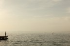 Mal di Terra