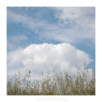 Sound of silence Sound of silence