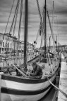 il vecchio e il mare il vecchio e il mare