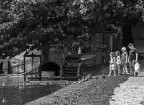 a spasso col nonno